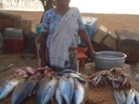 #HumansOfDemonetisedIndia: Stella, The Fish Vendor