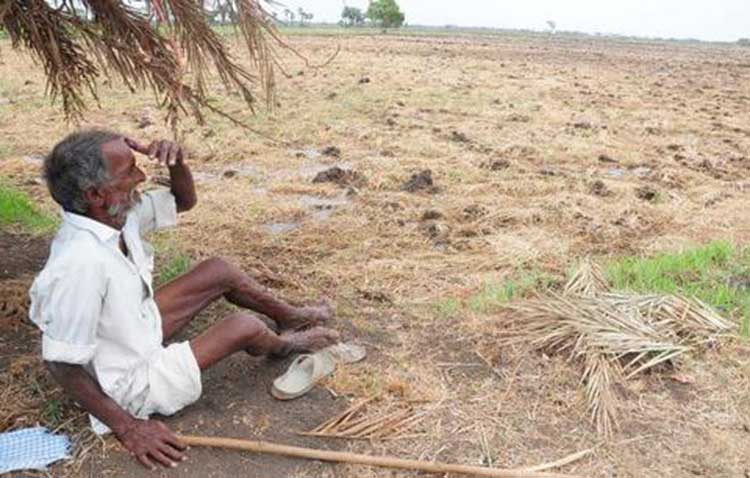 Cauvery delta drought