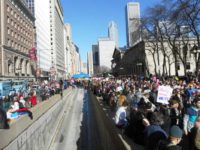 The Chicago Women's March was so large that no one photograph or photographer could have covered the vastness of it (estimated by TV news at a quarter million people, and possibly much more). Above, part of the crowd on Michigan Ave. looking north from the Art Institute (to the right in the photo). Substance photo by Susan Zupan.