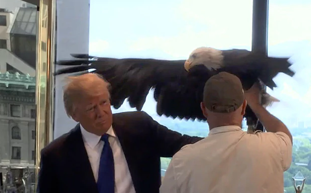 trump_eagle