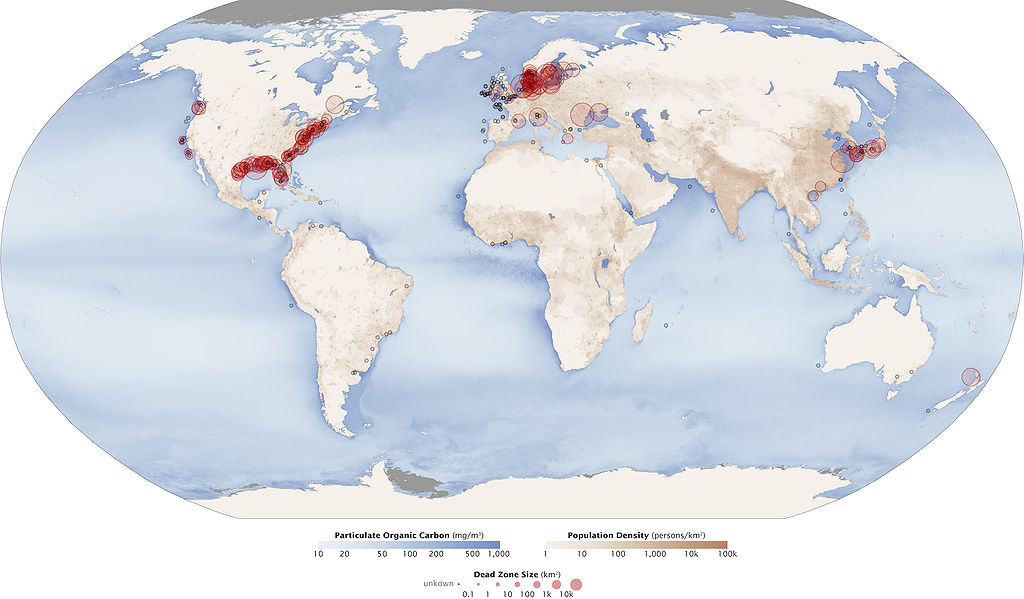 Red circles show the location and size of many dead zones. Black dots show dead zones of unknown size. The size and number of marine dead zones—areas where the deep water is so low in dissolved oxygen that sea creatures can't survive—have grown explosively in the past half-century. – NASA Earth Observatory