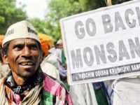 Monsanto In India: The Sacred And The Profane
