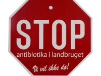 The Pig Industry And The Usage Of Antibiotics In Denmark
