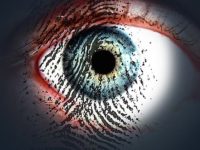  India the surveillance state and the role of Aadhaar 