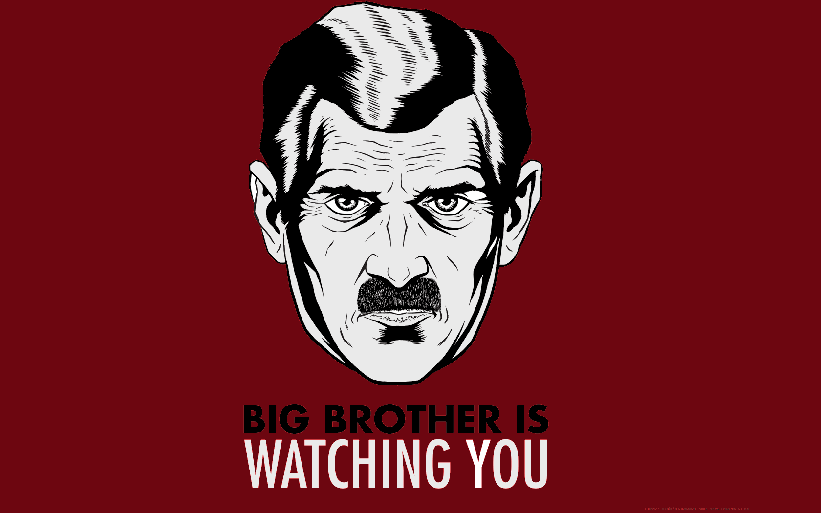 big-brother-is-watching-you