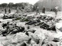Israel’s Genocide Towards Palestinian Arabs