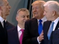 Barging Through NATO: Donald Trump In Europe