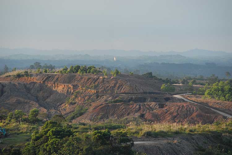 New Landscape Of Kalimantan