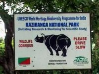 Human Rights Violations in Kaziranga National Park