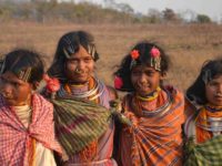 Declare Adivasis as Indigenous People Of India