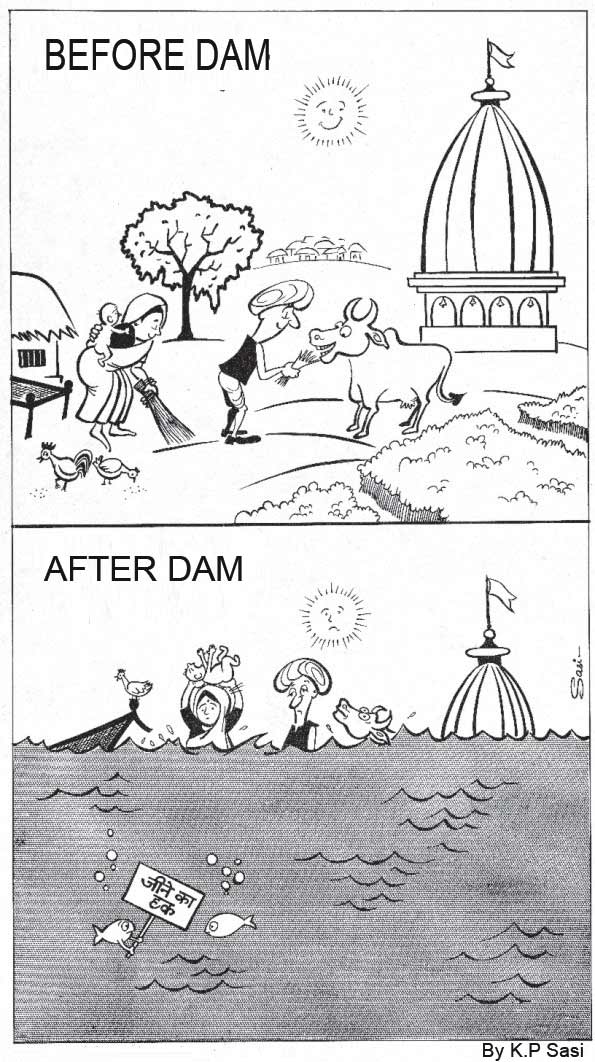 dam-cartoon