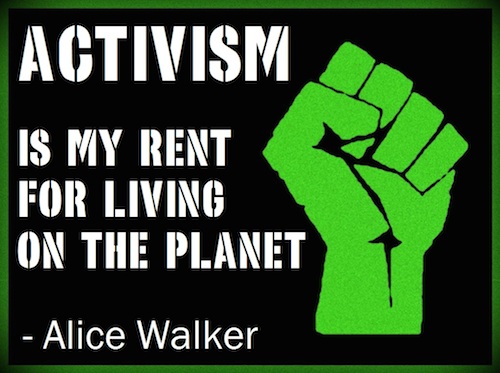Activism-quote-by-Alice-Walker