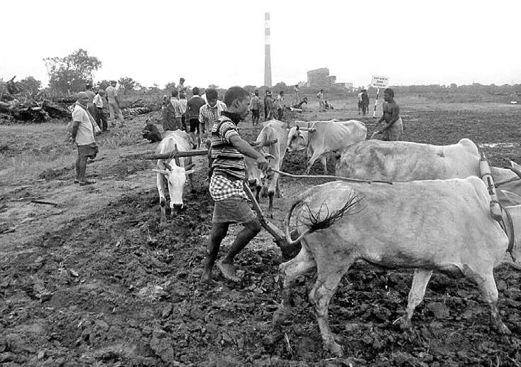 ploughing land farmer