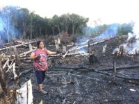 Borneo: Island Devastated, People Oblivious