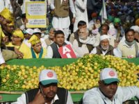 New Delhi: Farmers display fruits and vegetables at the Kisan Mukti Sansad, organised to highlight the farmers' issues, in New Delhi on Monday. PTI Photo by Atul Yadav  (PTI11_20_2017_000103B)
