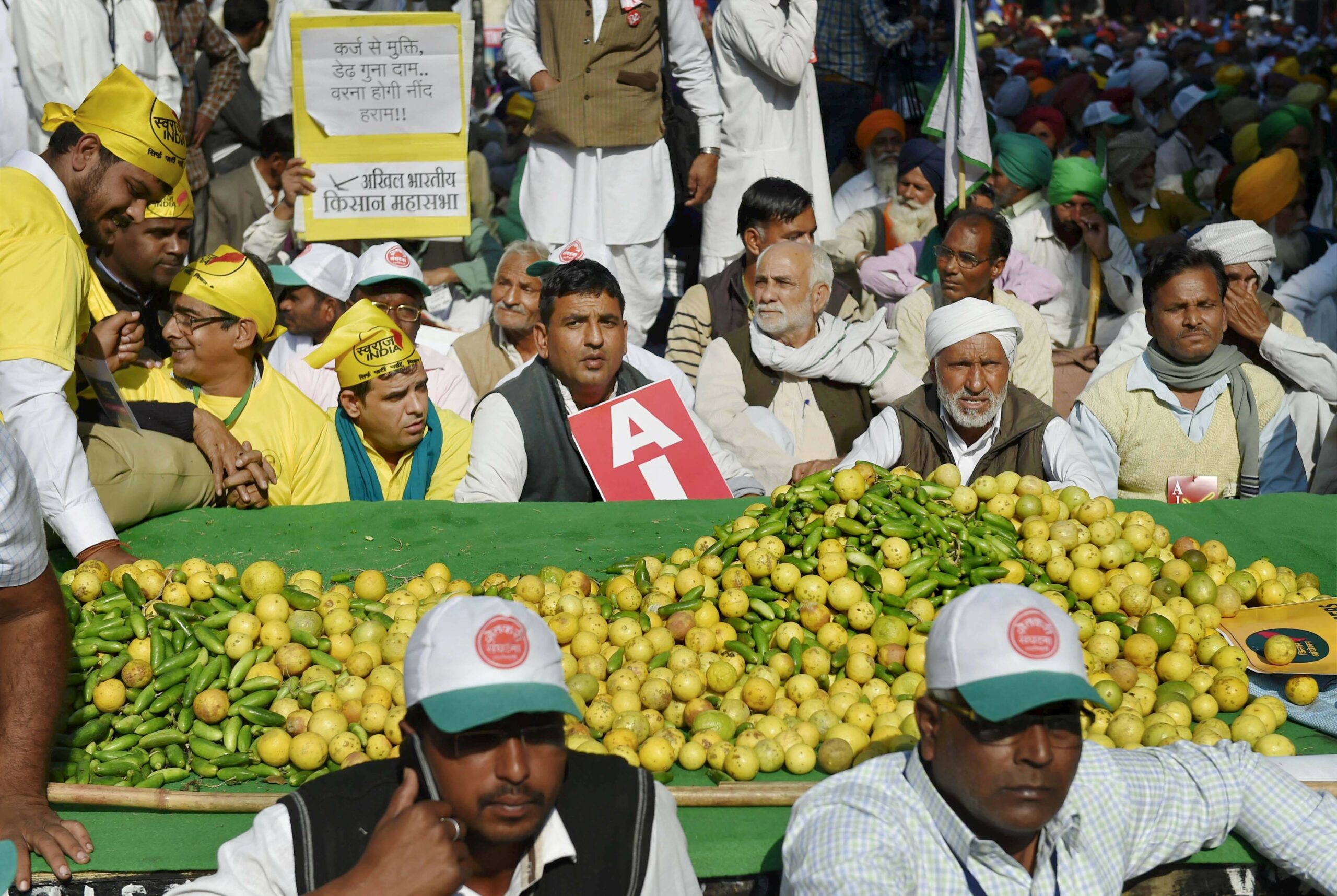 New Delhi: Farmers display fruits and vegetables at the Kisan Mukti Sansad, organised to highlight the farmers' issues, in New Delhi on Monday. PTI Photo by Atul Yadav  (PTI11_20_2017_000103B)