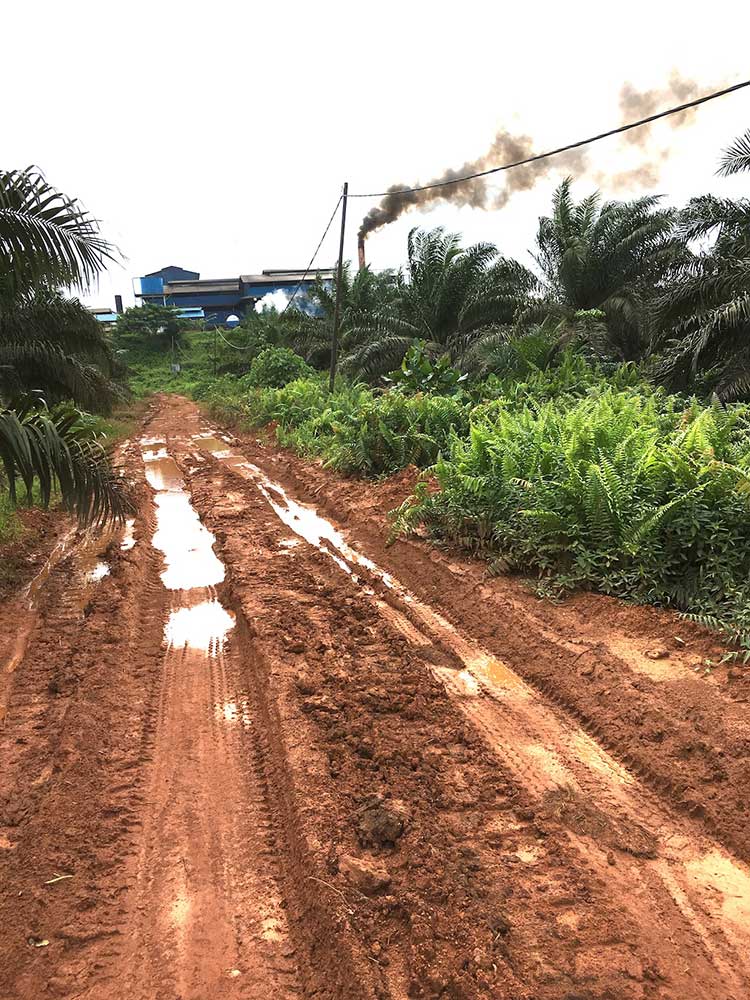 palm oil processing factory near Singkawang