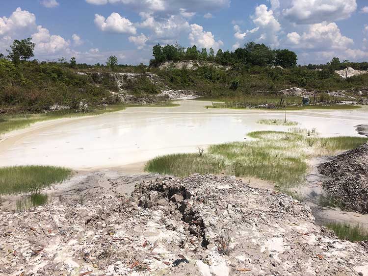 Poisoned land after gold mining in Borneo
