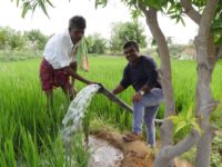 India’s Invisible Water Wizards