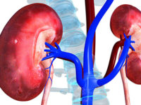 Give Some Place In Your Heart For Kidneys! Please!