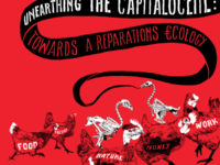 Unearthing The Capitalocene: Towards A Reparations Ecology