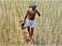 As the 2019 Indian General Election Takes Place, Are the Nation’s Farmers Being Dealt a Knock-Out Blow?