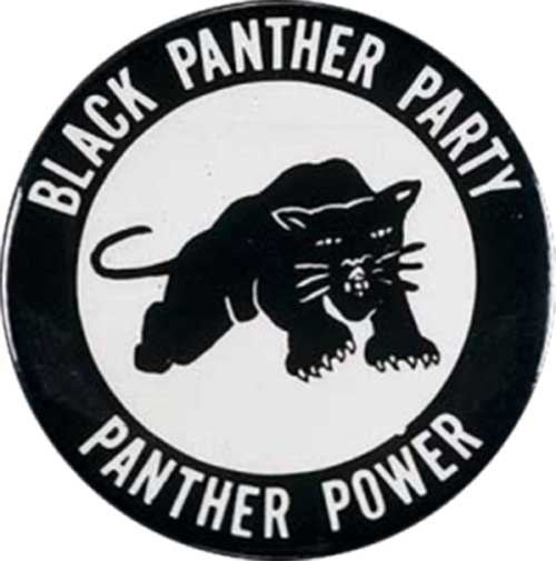 blackpantherparty