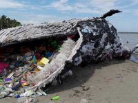 The US Shouldn’t Stand in the Way of an Ambitious Global Plastics Treaty