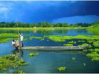 Pic©https://thenortheasttoday.com/assam-majuli-en-route-to-become-indias-1st-carbon-neutral-district/
