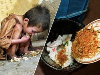 Wasting Food In A Hungry World: World Food Day- 16 October 