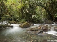 Ecuador Endangered