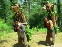 Bill to amend the Forest (Conservation) Rules- NCST’s views should be placed before the Parliament