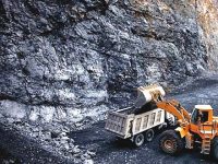 Privatisation of coal and mineral mining and corporatization of farming