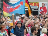 Germany’s New Right Wing