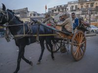 Rare Disease Hits Livelihood of Horse Cart Riders