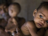 Malnutrition and death of children decreased in the system, increased in reality