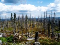 As It Turns Out, Environmentally ‘Protected’ Lands Really Aren’t