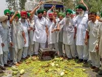 Moga: Farmers throw vegetables on a road during a state-wide protests, at Bagha Purana in Moga district of Punjab, Friday, June 01, 2018. Farmers today stopped the supply of vegetables, fruits, milk and other items to various cities of Punjab and Haryana as part of a nationwide strike against alleged anti-farmer policies of the Centre. (PTI Photo) (Story no DES5)(PTI6_1_2018_000133B)