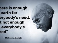 Lessons for the environmental movement from Gandhi