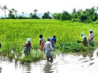Take Ecologically Protective Methods to Farmers in Ways Which Benefit Them