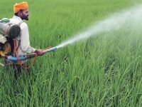 Draft notification on Insecticides unsatisfactory