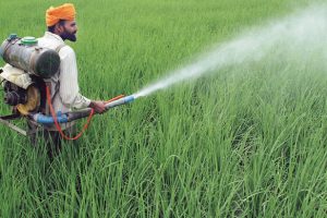 Draft notification on Insecticides unsatisfactory
