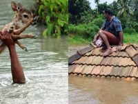Kerala Floods: A Letter From Mother Earth