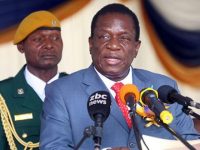 Did “The Crocodile” Steal Zimbabwe’s Election?