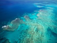 The Great Barrier Reef Wars