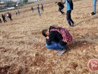 ‘A Cruel Choice’: Why Israel Targets Palestinian Schools