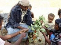 Yemenis eat leaves to stave off famine