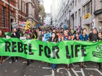 Extinction Rebellion: From the UK to Ghana and the US, Climate Activists Take Civil Disobedience World-Wide