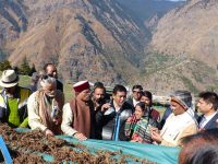Himalayan Villages Saving Endangered  Herbal Treasures