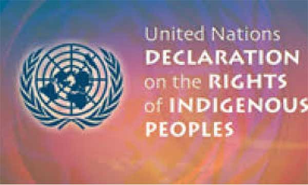 rights of indigenous peoples